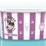 mr. oliver greek yogurt blueberry flavored gelato